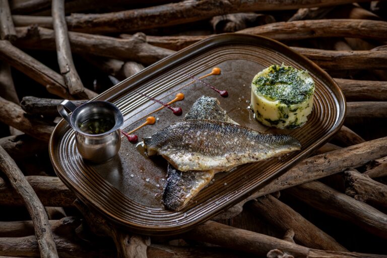 WhatsApp Image 2026-03-23 at 12.27.05 PM (1)